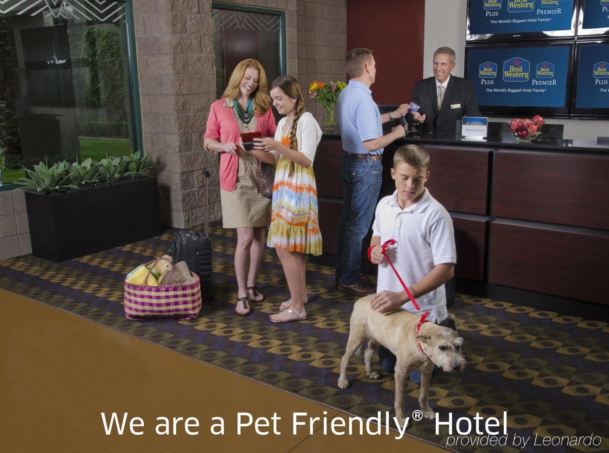 Best Western Sherwood Inn Clarksville Εξωτερικό φωτογραφία